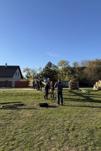 IMG_1228
