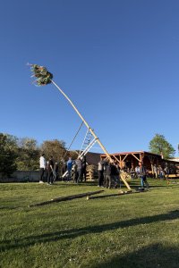 IMG_1230