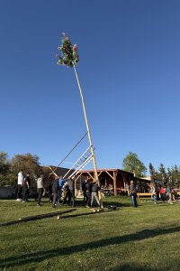 IMG_1232