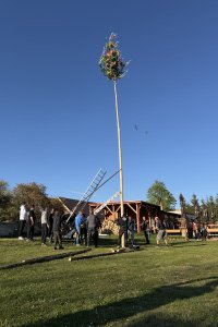IMG_1233