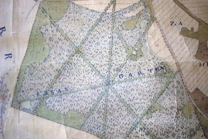 LESONICE - mapa 1774 - obora