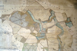 LESONICE - mapa 1774 - plán katastrálního území obce