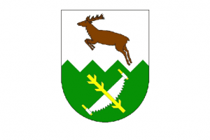 Strategický plán rozvoje obce Lesonice