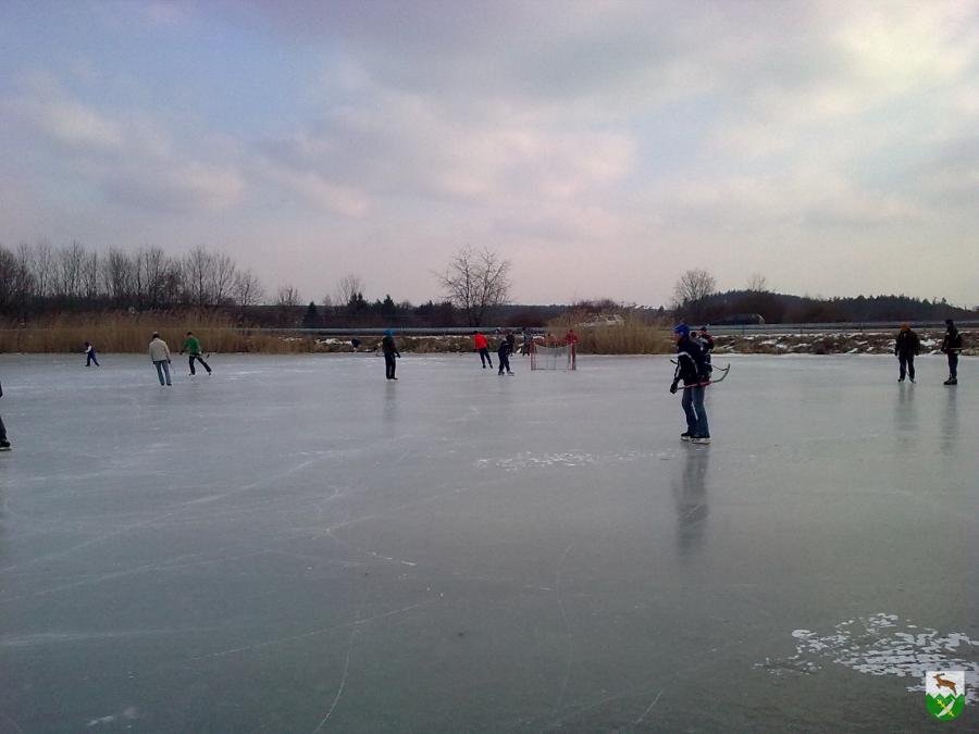 clanky_177 clanky_177