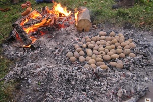 Opékání brambor spojené s výsadbou stromů a pouštěním draků