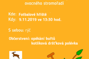Výsadba stromů