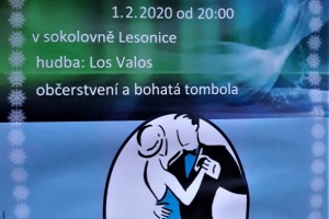 Školní ples