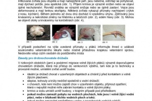 Ptačí chřipka - informace pro chovatele